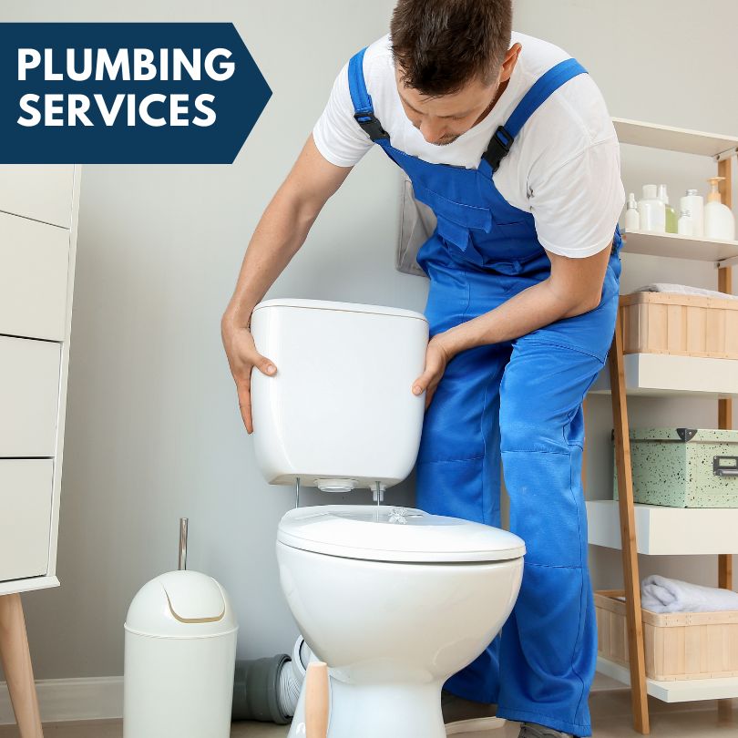 Plumbing Company in Dewitt, MI